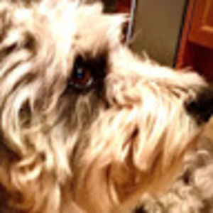 Meet your Posher, Keiran